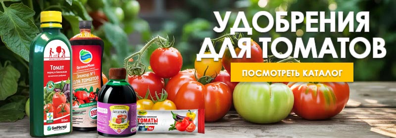 Удобрения для томатов